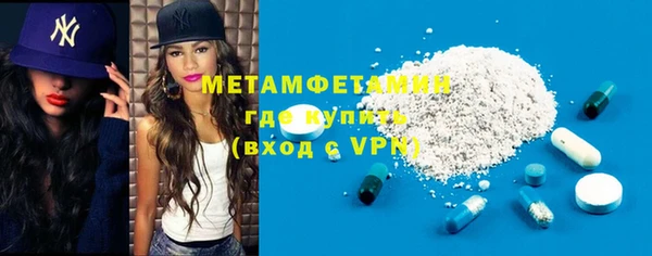 шишки Почеп